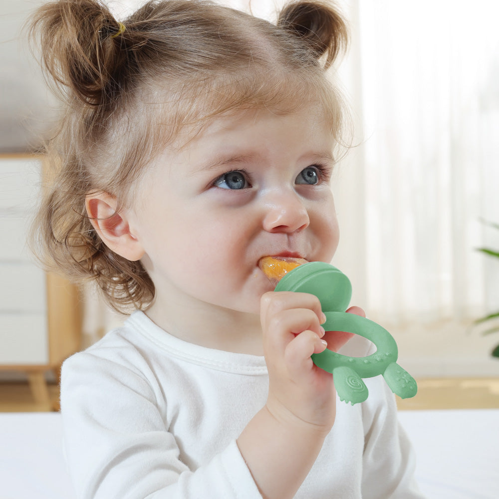 What Else Can You Put in Your Haakaa Fresh Food Feeder?