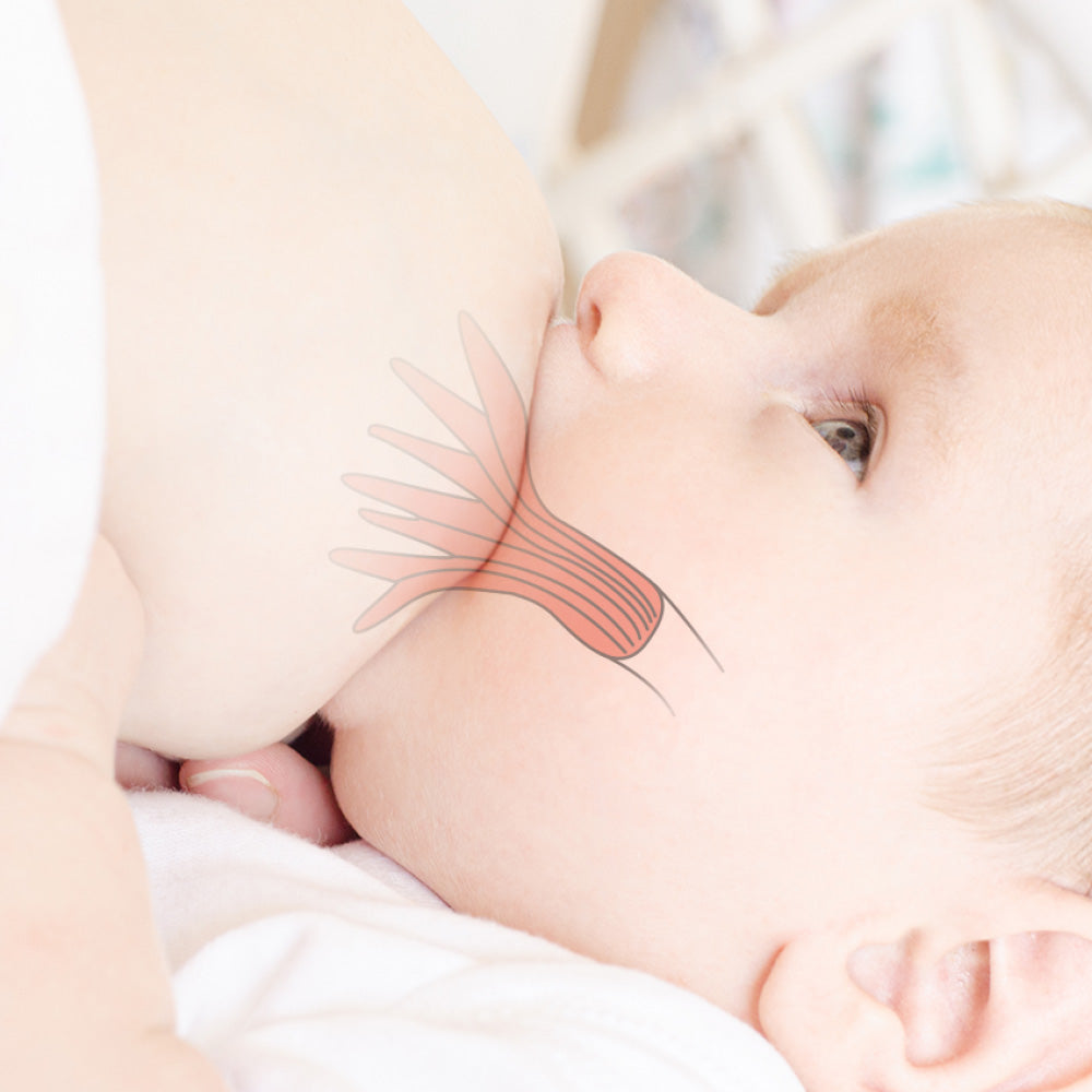 Gen. 3 Bottle Anti-Colic Nipple